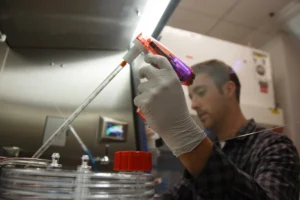 Organoids, AI, and the Future of Precision Oncology